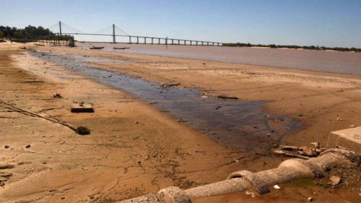 La bajante histórica del río Paraná deja una estela de destrucción