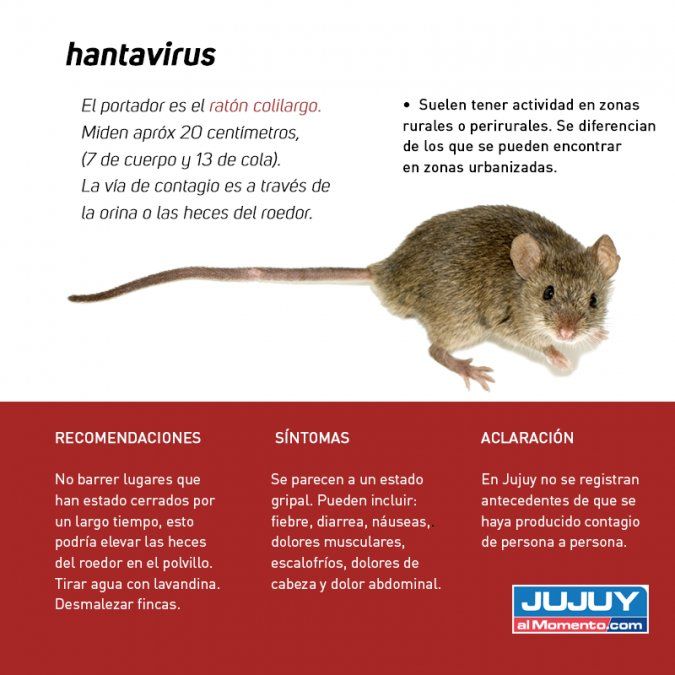 Tercer Caso De Hantavirus En Jujuy