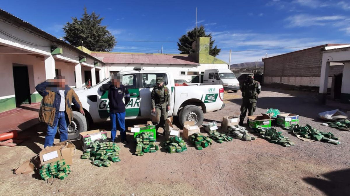 En Jujuy Decomisaron Marihuana Cigarrillos Y Kilos De Hojas De Coca