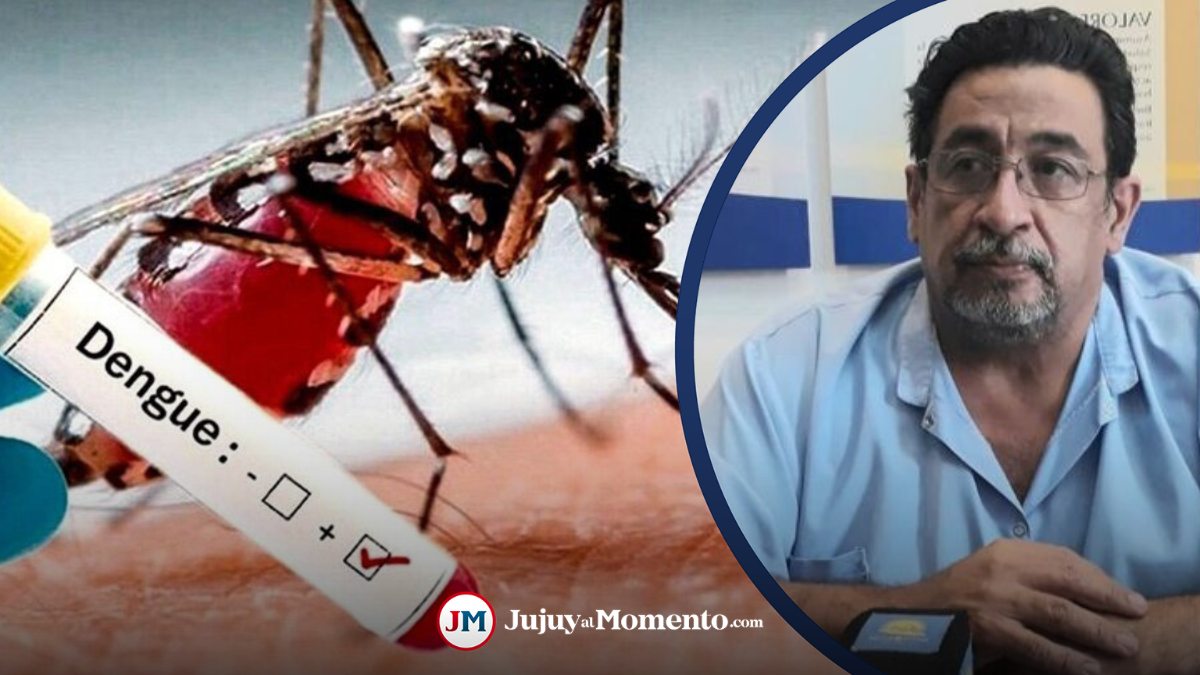 Preocupan Las Muertes Por Dengue En Jujuy Habl Un Especialista