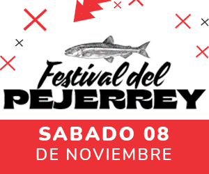 BANNER FESTIVAL DEL CARMEN