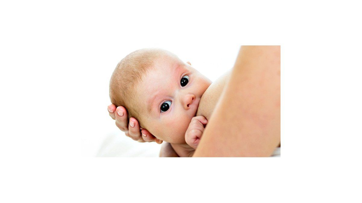 ¿Cómo fortalecer el sistema inmunológico durante