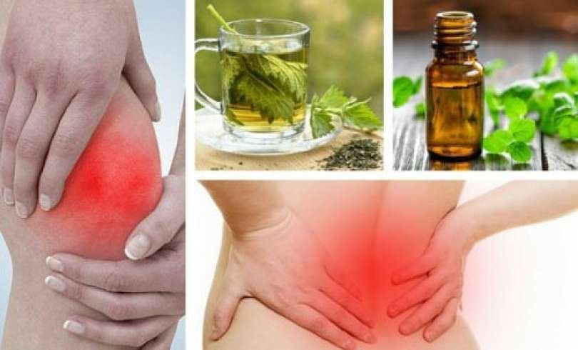 6 Plantas Con Propiedades Analgesicas Para Aliviar El Dolor Vida