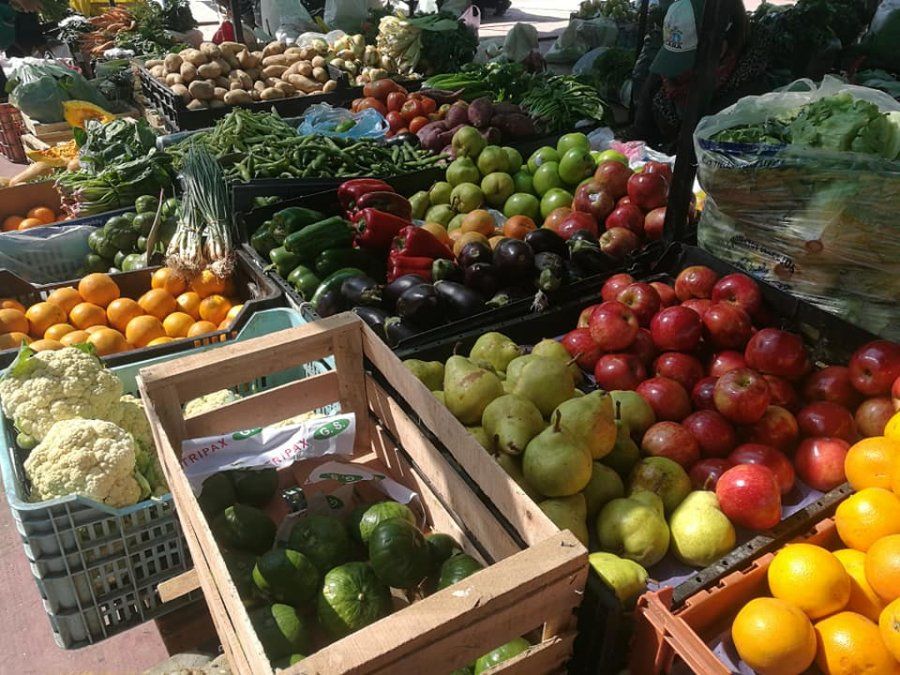 Frutas y verduras más baratas en Alto Comedero este sábado