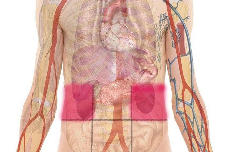 ¿dolor Abdominal Este Mapa Revelará Lo Que Causa Tu Dolor 