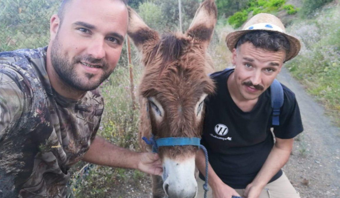 La reacción de una burra al encontrarse con su cuidador tras dos meses sin verlo