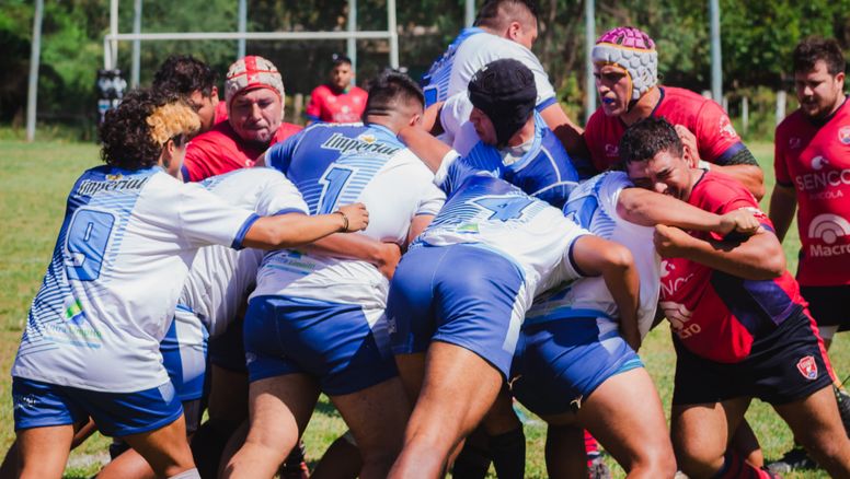 El Rugby albiceleste coronó un año inolvidable