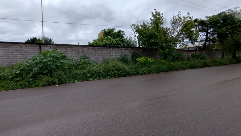 Escuela de Palpalá con el mismo problema de cada año: falta desmalezamiento