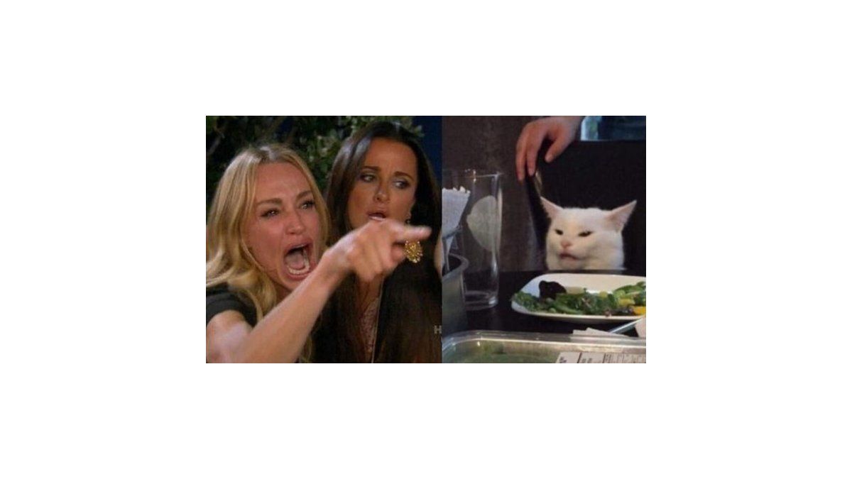 La Historia Detrás Del Meme Del Gato En La Mesa Que Es Furor En Redes