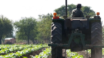 Informalidad y salarios de miseria, el duro panorama de los trabajadores rurales jujeños