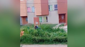 Ante el abandono municipal, vecinos de las 47 Hectáreas accionan por su cuenta