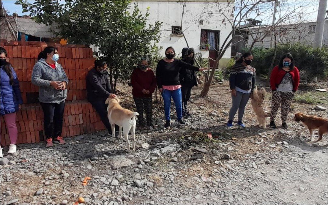 Envenenaron perros y gatos en Monterrico