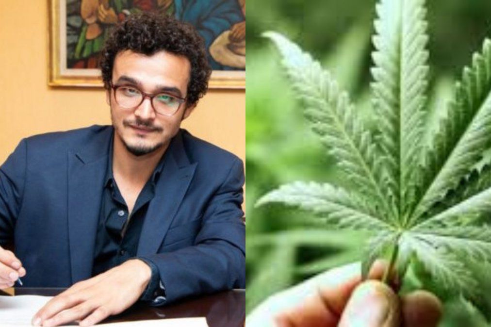 Gastón Morales: A los médicos les falta capacitación sobre cannabis
