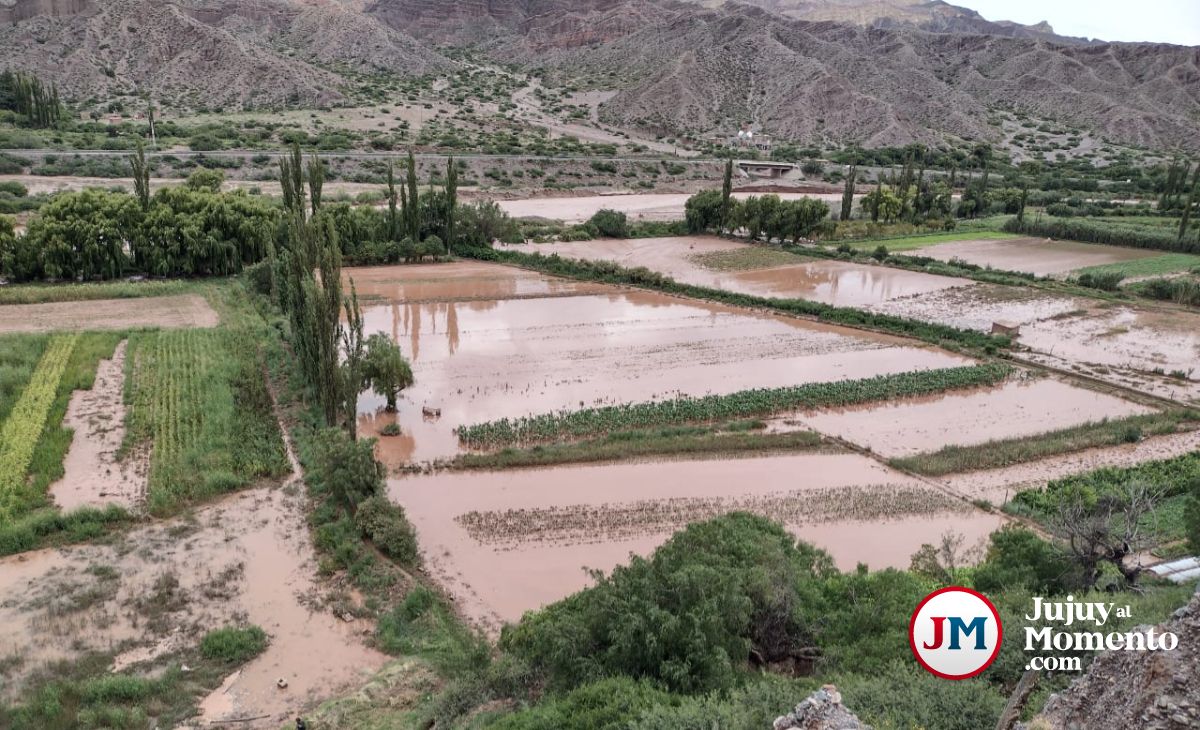 Pequeños productores de la Quebrada sufrieron pérdidas totales por las lluvias