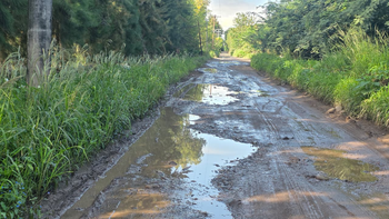 Ruta provincial N°55, entre el olvido y el abandono