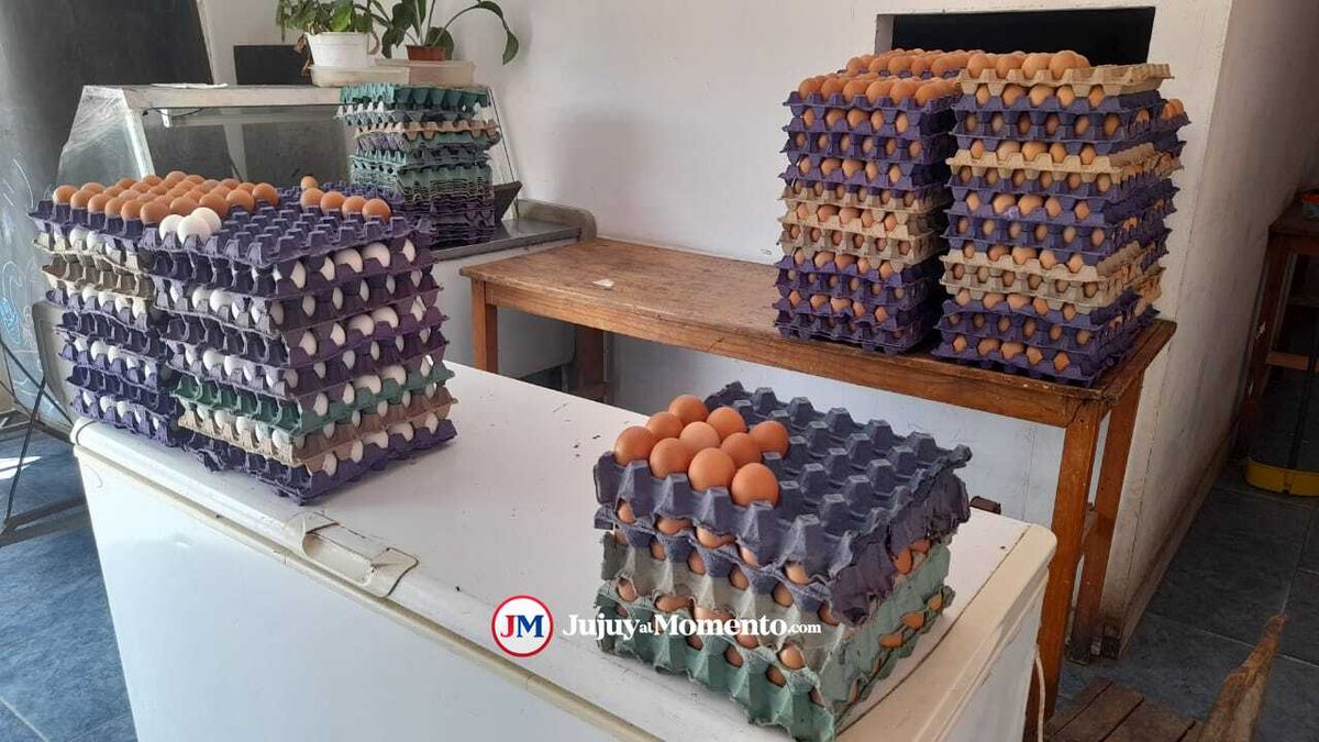 El maple de huevo ya se vende a más de $1.000 en Jujuy
