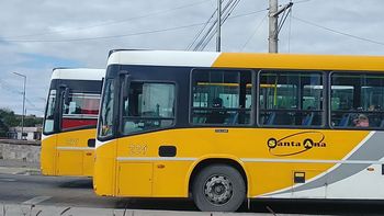 El municipio adjudicó la licitación del transporte: siguen solo dos empresas