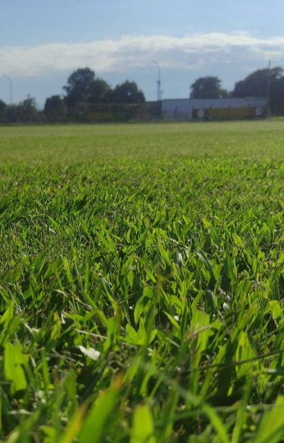 El Fortín se pone a punto para la temporada 2026