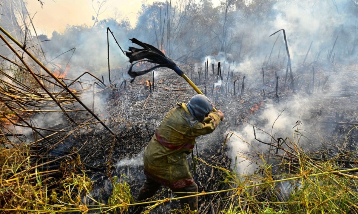 Los incendios se redujeron un 30% en Corrientes