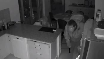 Investigan el robo de 2 millones de pesos en una casa del barrio Norte