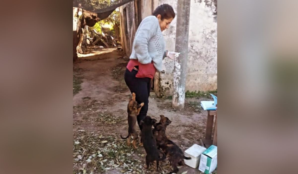 Puesto Viejo realiza un censo animal para controlar la cantidad de mascotas en las casas