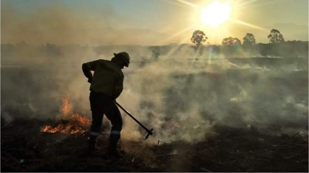 Preocupan Los Incendios En Jujuy: Ya Se Quemaron Más De 1.700 Hectáreas