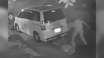 Emboscó a su ex pareja, la sacó a los golpes de un auto y terminó a las piñas con el novio