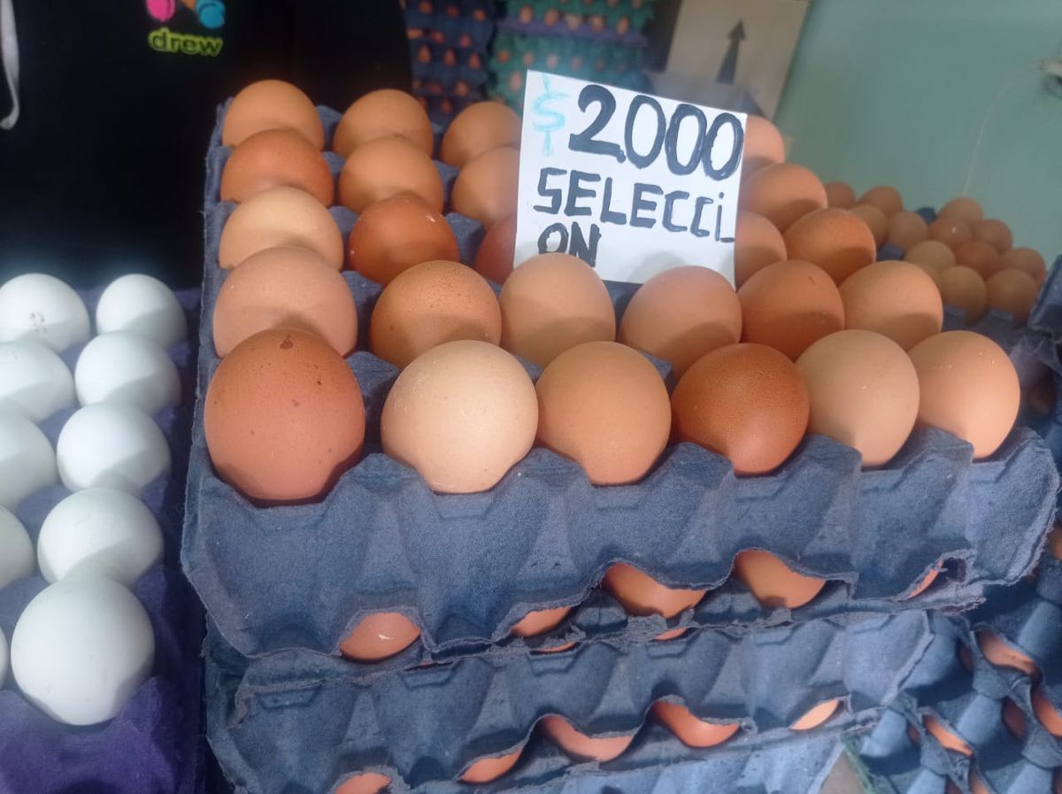 En Jujuy, el maple de huevos llega a costar $2.000