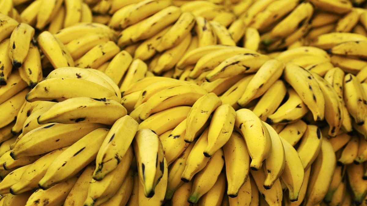 ¿Por Qué Es Recomendable Comer Una Banana Diariamente?