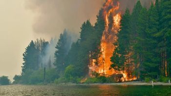 Declaran la emergencia ígnea en cuatro provincias por incendios en la Patagonia