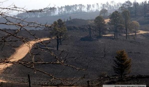 Logran controlar el 70% de los incendios en los campos de Córdoba