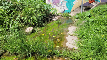 Las escaleras que suben a Castañeda, otro punto de abandono e inseguridad