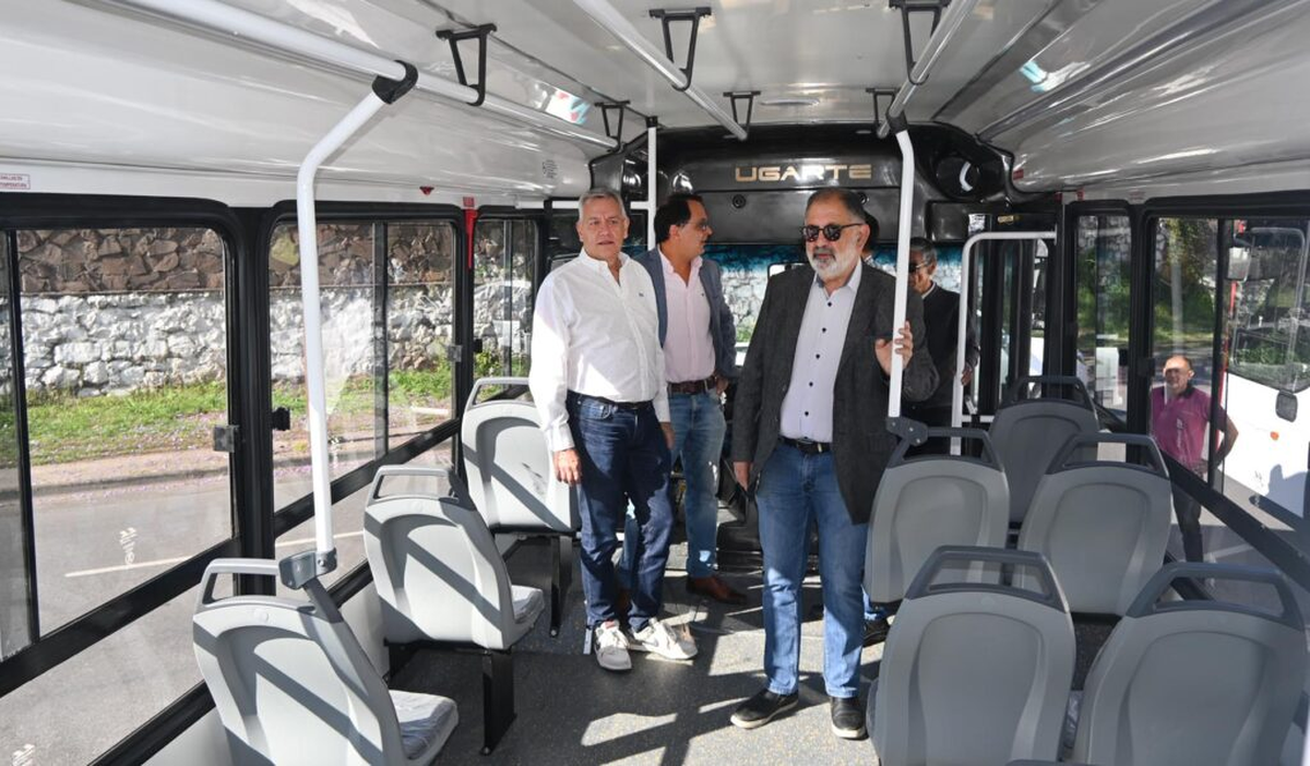 Licitación del Transporte en la mira: vence el plazo y siguen los cuestionamientos Licitación del Transporte en la mira: vence el plazo y siguen los cuestionamientos