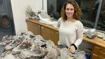Hallazgo histórico en Chubut: descubren un dinosaurio de 160 millones de años