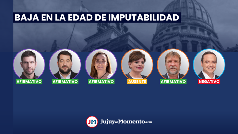 Baja la edad de imputabilidad a 14 años: la votación de los diputados por Jujuy
