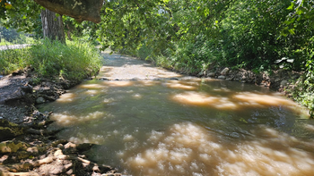 Vuelven a alertar sobre los peligros de bañarse en canales