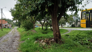 Vecinos de Guerrero piden más iluminación y presencia policial