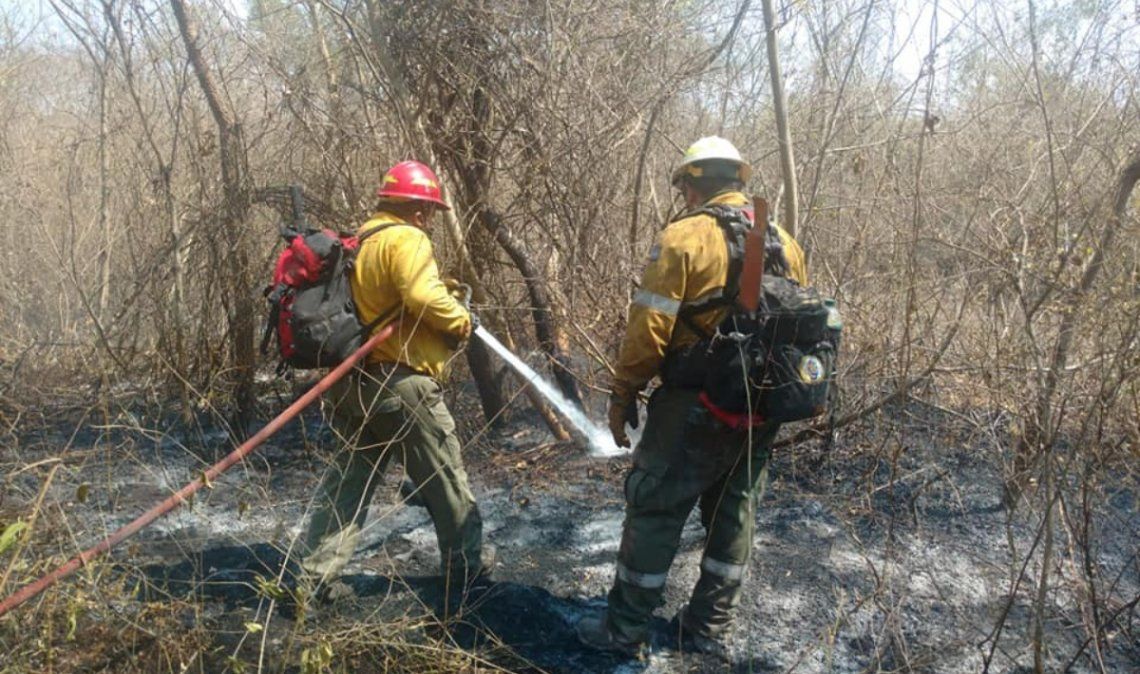 La mayoría de los incendios se originan fuera del parque nacional y son provocados