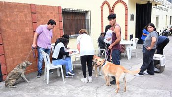 Campaña de vacunación antirrábica gratuita en diversos barrios capitalinos