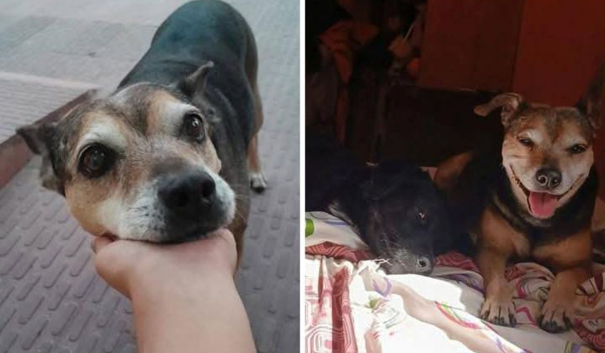 ¡Urgente! Lila es buscada en el barrio Moreno