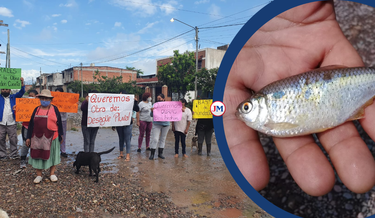 Inundación extrema en Perico: había peces en plena calle