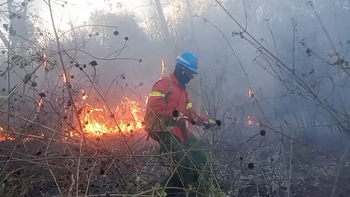 Fin de semana crítico: múltiples incendios forestales en Alto Comedero