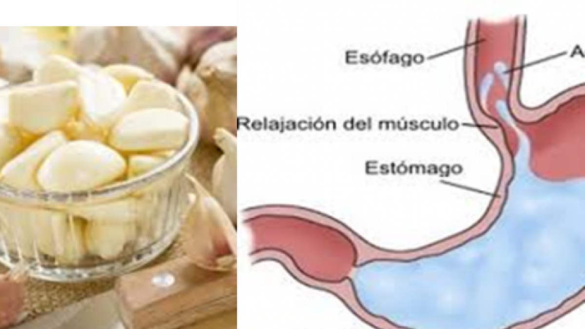 Esto es lo que te pasa cuando comes un ajo con el estómago vacío