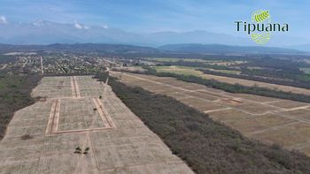 ¡Último Viernes de Dueños!