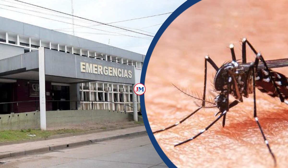 Brote de dengue en San Pedro: aumentan los rastrillajes y medidas preventivas