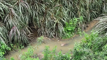 Vecinos de Los Perales advierten que líquidos cloacales van a parar al Río Grande