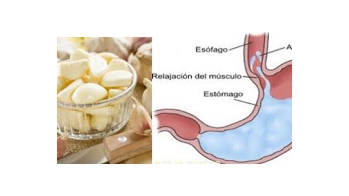 Esto es lo que te pasa cuando comes un ajo con el estómago vacío