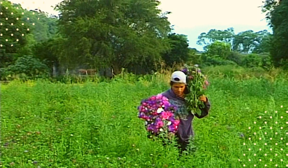 Productores de flores de Jujuy en  La vida es corta