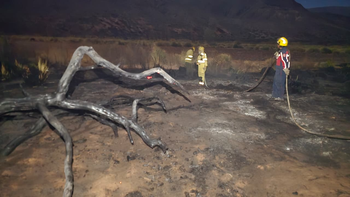 Incendios en Jujuy: en tres semanas hubo las mismas intervenciones que el año pasado