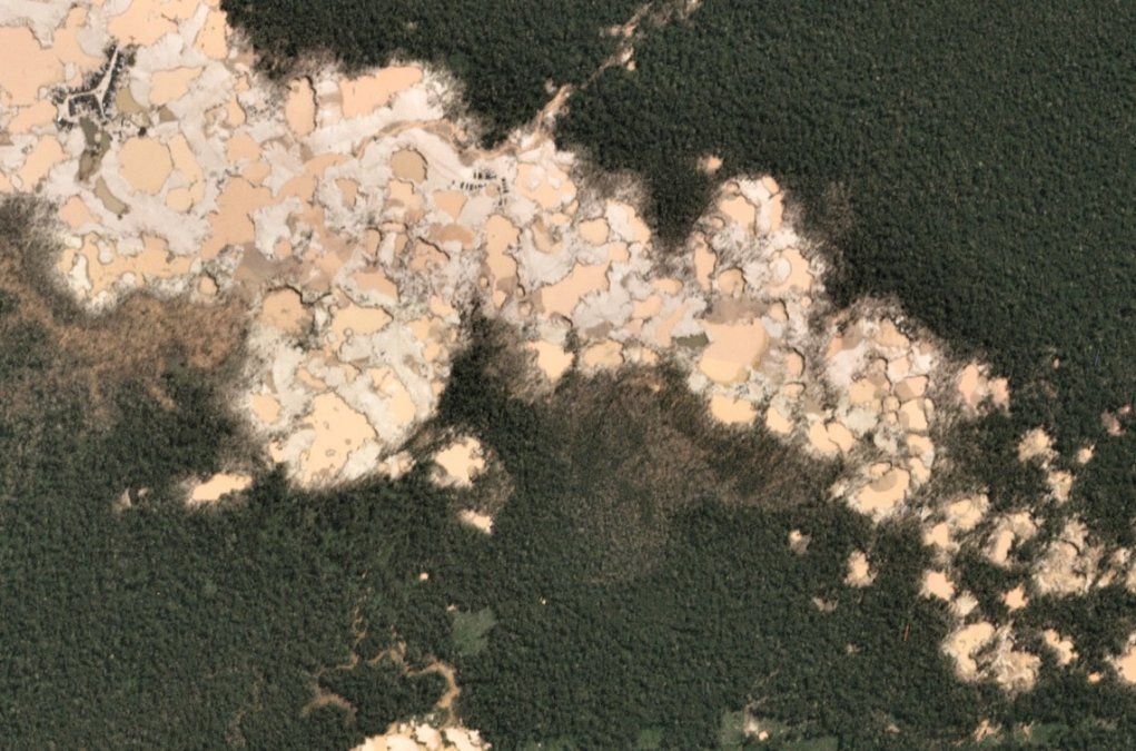 Imágenes satelitales revelan la deforestación ilegal en el Amazonas
